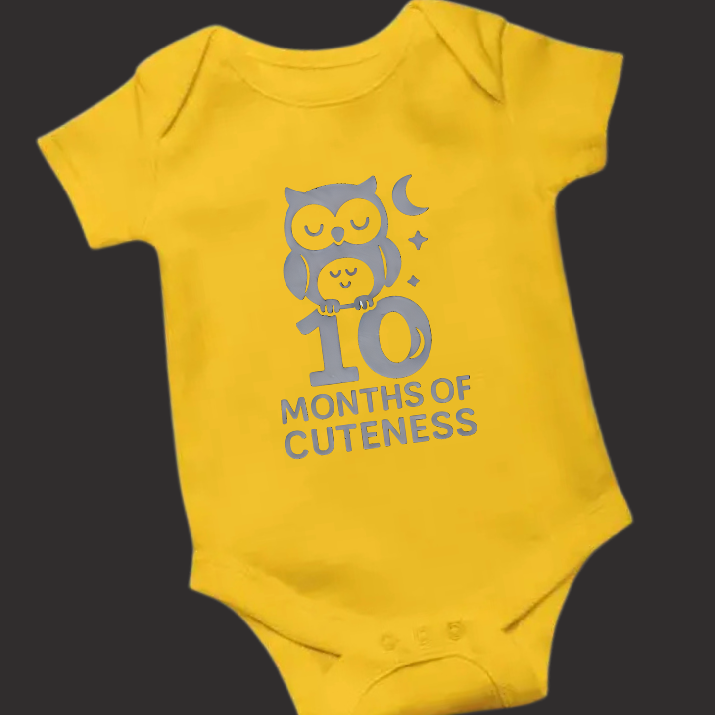 10 Months of Cuteness Owl Baby Romper – Soft Cotton, Vinyl Puff Print