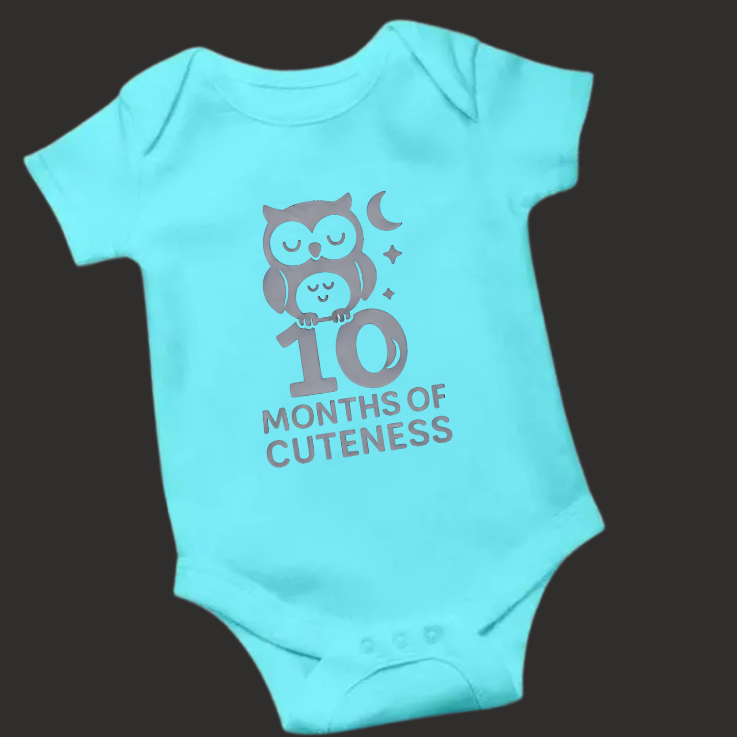 10 Months of Cuteness Owl Baby Romper – Soft Cotton, Vinyl Puff Print